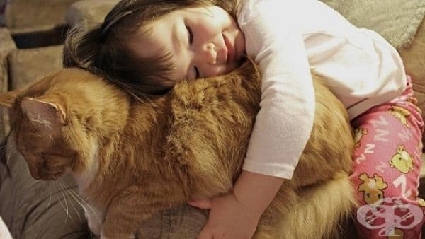 Снимка на истинската любов. Не сте ли съгласни?