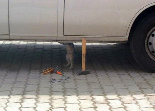 Проверявам маслото.
