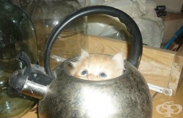 Няма чай.