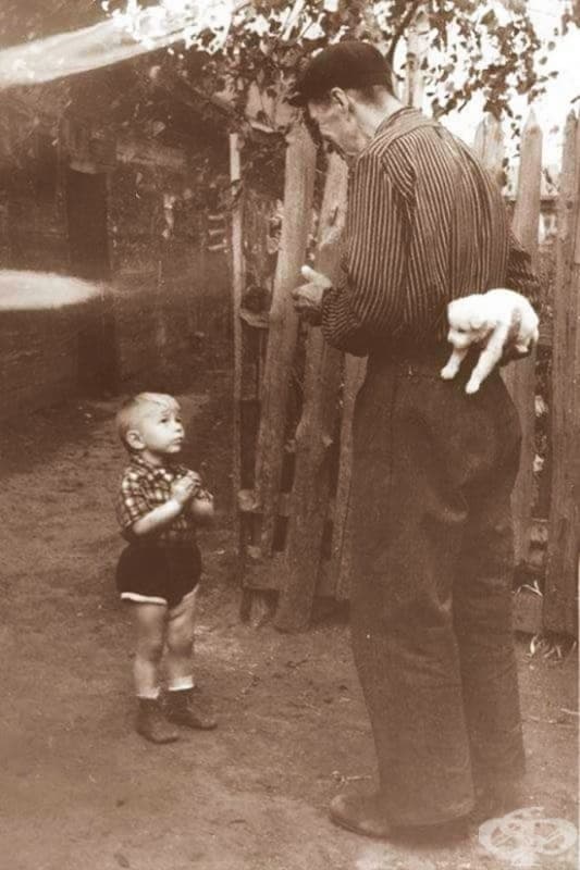 Няколко мига преди щастието, 1955 г.