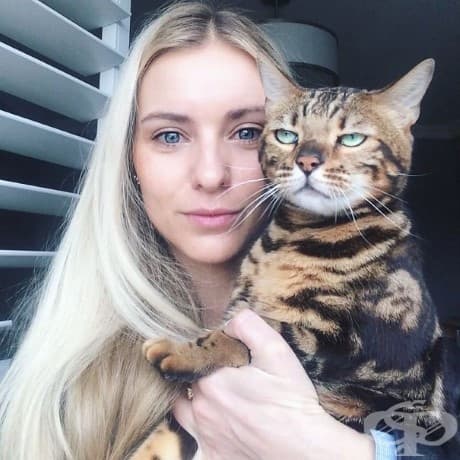 25 пъти, в които котки не желаят да участват в глупавите селфита на човеците си