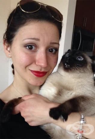 25 пъти, в които котки не желаят да участват в глупавите селфита на човеците си