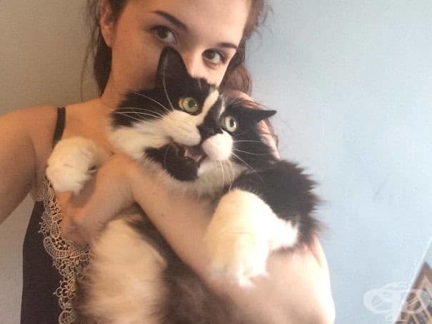 25 пъти, в които котки не желаят да участват в глупавите селфита на човеците си