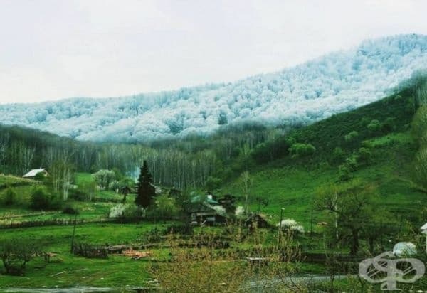Уникална снежна лавина в Алтай.