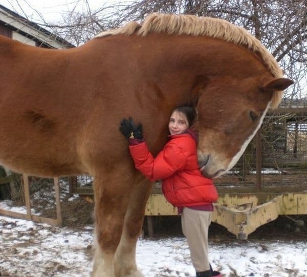 Старо приятелство.
