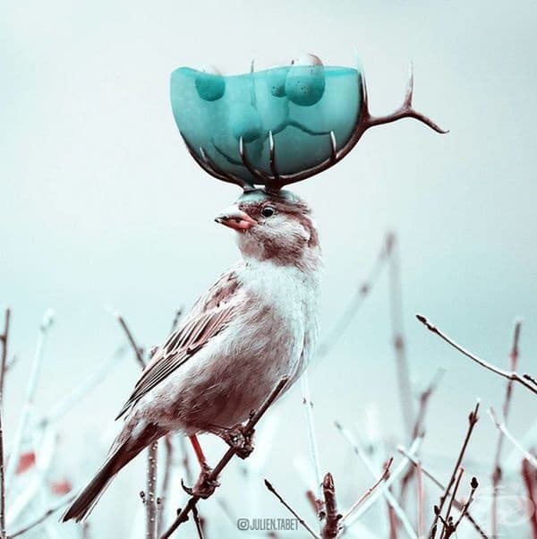 Френски дигитален художник използва умело Photoshop и създава фантастични животни