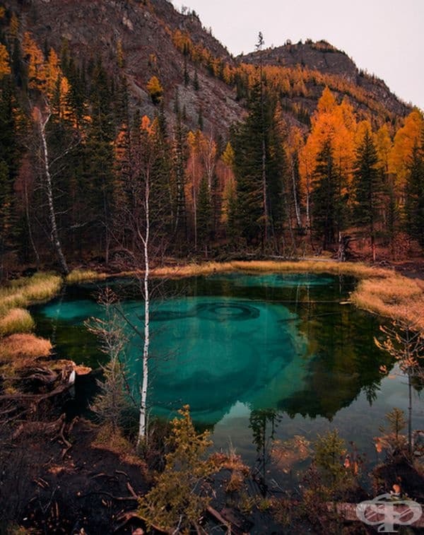 Алтай, Русия.