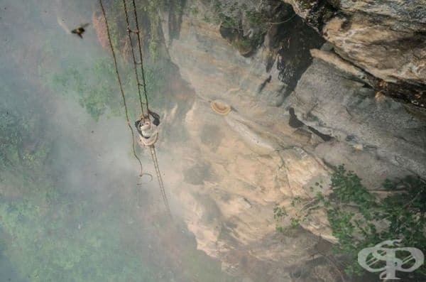 35 най-добри снимки в историята на National Geographic