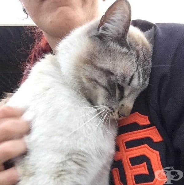 „Отидох да оставя боклука и видях това симпатично коте. То скочи веднага в скута ми и бе толкова гальовно. Разтопи ми се сърцето“.