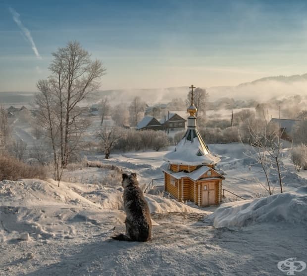 Сутрешен зрител