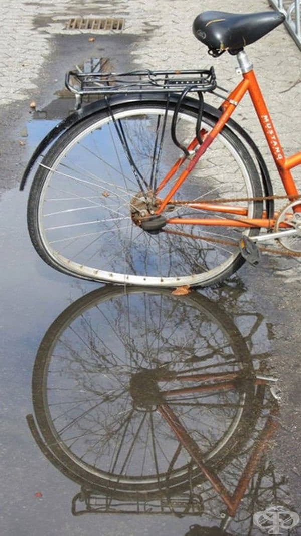 В паралелният свят този велосипед има нормално колело.