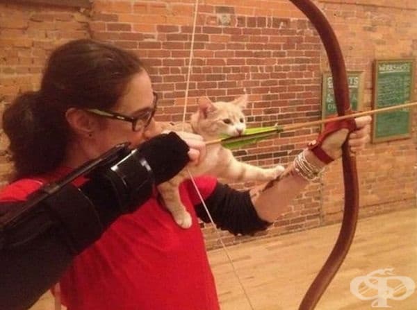 Тя толкова много обича котката си, че я носи навсякъде.