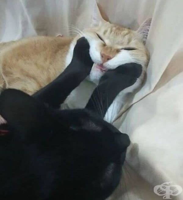 "Хайде, скъпи, усмихни се."