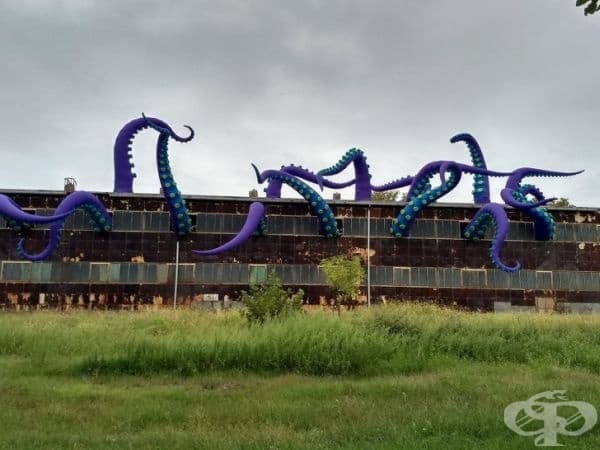 Артистична инсталация на кракен в изоставена сграда, Филаделфия.