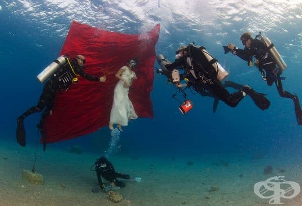 33 сватбени снимки доказват, че фотографите са забавни