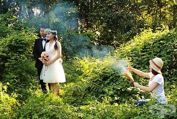 33 сватбени снимки доказват, че фотографите са забавни