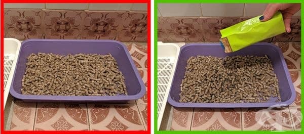 Отървете се от миризмата на котешка храна. Просто поставете на дъното на купичката сух зелен чай.