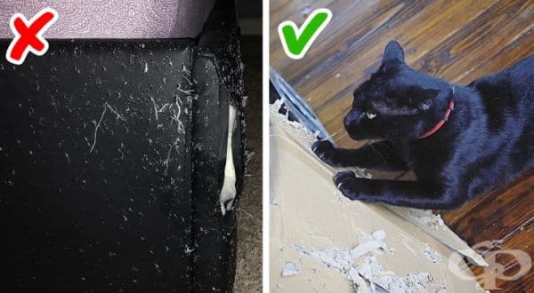 Научете котката си да не драска по мебелите. Това е трудна задача, но все пак може да поставите на няколко места в дома си кашони, които да бъдат използвани за тази цел. Постепенно те ще станат по-желаното място на техните нокти.