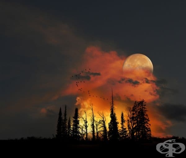 Залез (фотограф: Peter Holme).