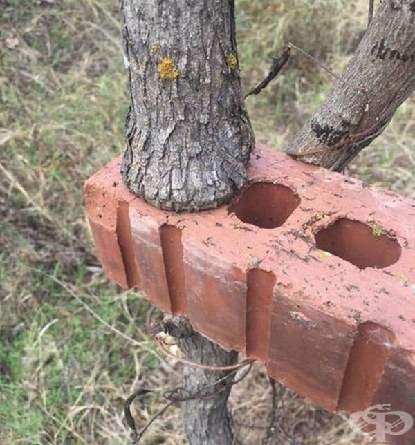 Едва ли ще се предаде на тухлата.