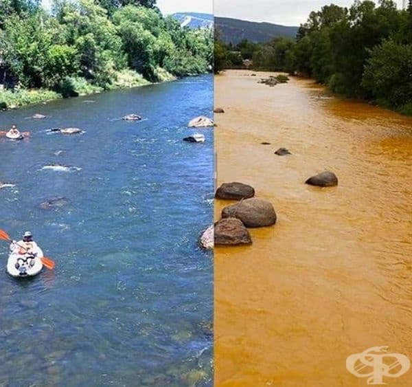 Ето какво прави промишлеността с природата.