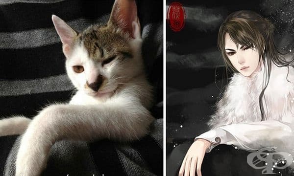 20 изображения на герои с визия, вдъхновени от различни кучета и котки