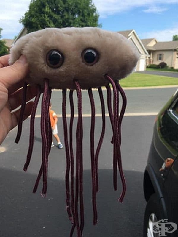 "Купих тази мила бактерия Е.coli за моя съпруг."