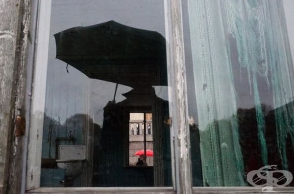 40 невероятно сполучливи и забавни снимки по света