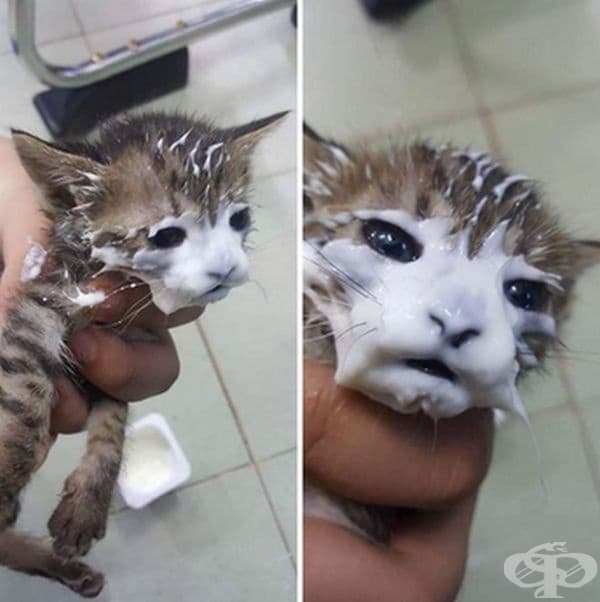 Просто то е много гладно.