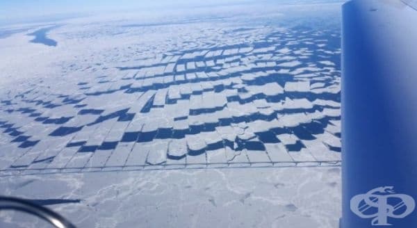 Еднакво оформени ледени късове.