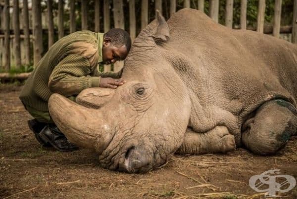 35 най-добри снимки в историята на National Geographic