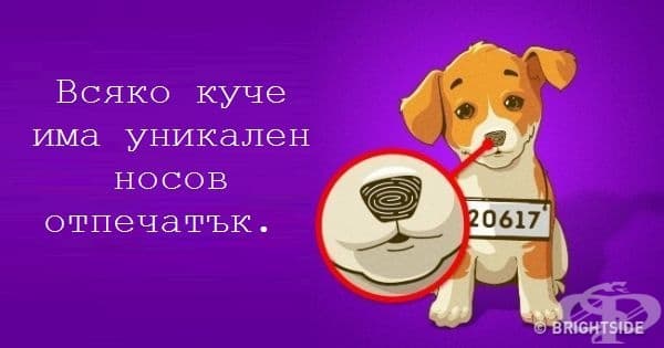 12 невероятни факта, които всеки трябва да знае