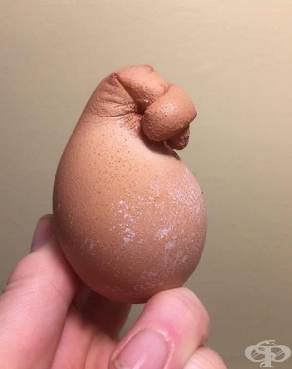 Завързано яйце.