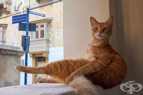 Какво бедро!