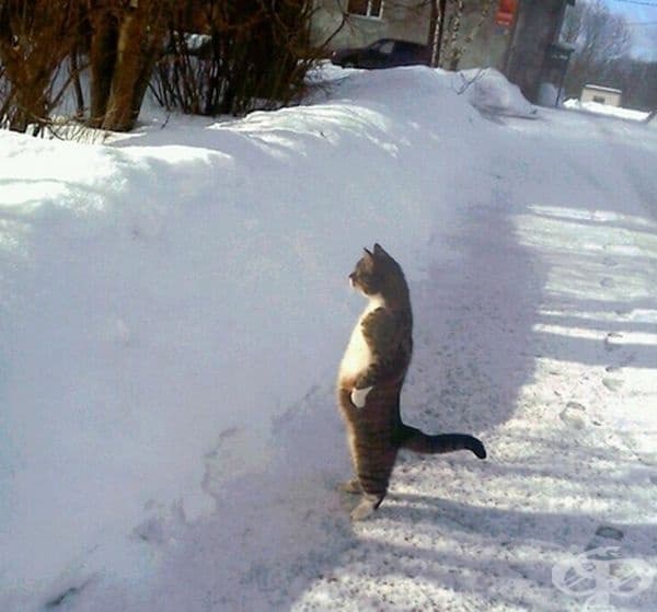 "Здрасти, смотан!"