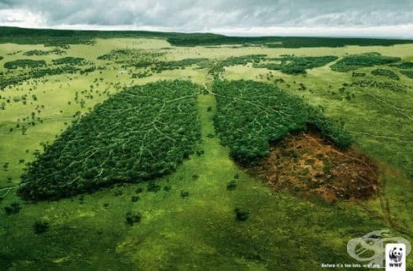 Горите са белите дробове на планетата. (Агенция: TBWA, Париж, Франция).