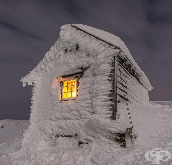 Дом. Норвегия.