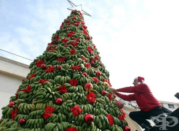 Коледно дърво от банани.