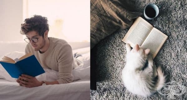 20 забавни колажа, които показват, че между котките и красивите мъже има нещо общо