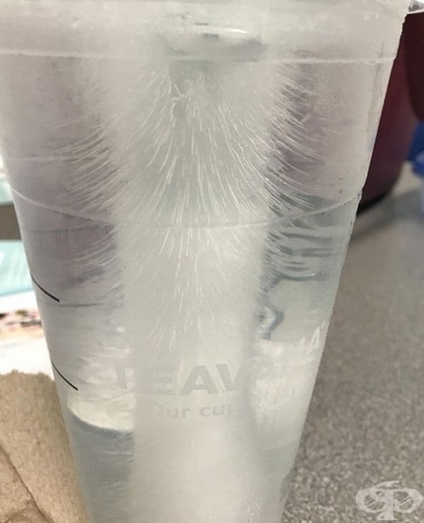 Замръзнала вода в чаша.