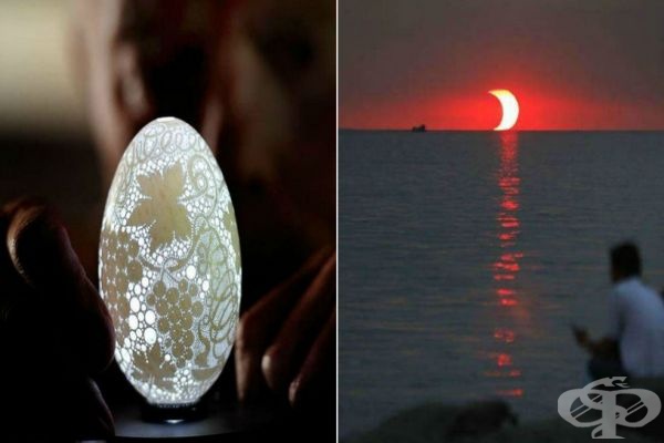36 завладяващи снимки, които вероятно никога не сте виждали - изображение