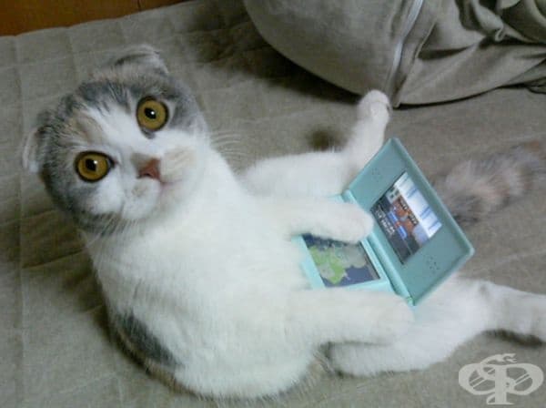 "Е-е, още малко, мамо!"