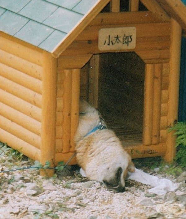 Явно му е удобно.