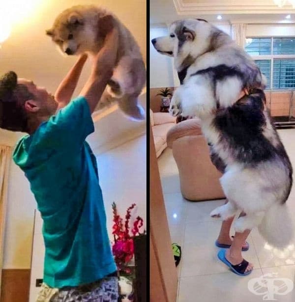 Разлика от 2 години.