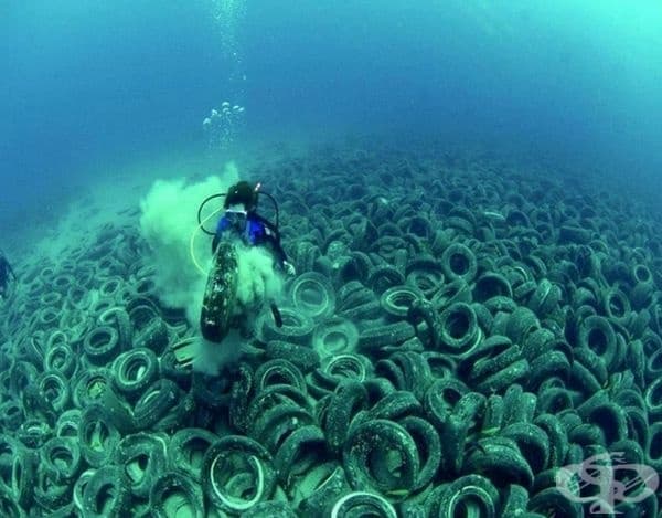 "Голям тихоокеански боклук" (Great Pacific Garbage Patch).