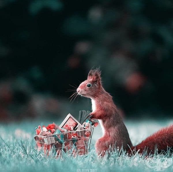 Френски дигитален художник използва умело Photoshop и създава фантастични животни
