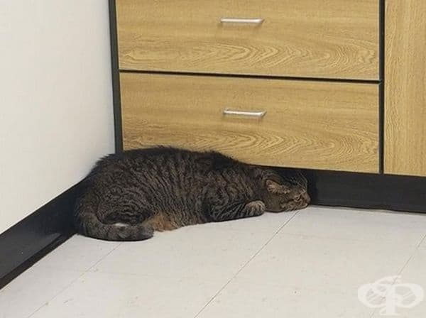 Мястото е ограничено, но пък това не му пречи да пробва.