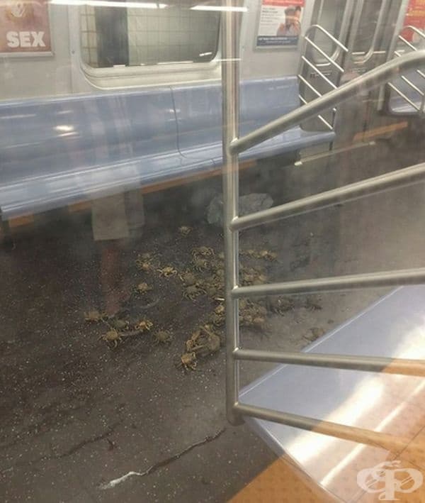 Защо, откъде, как?