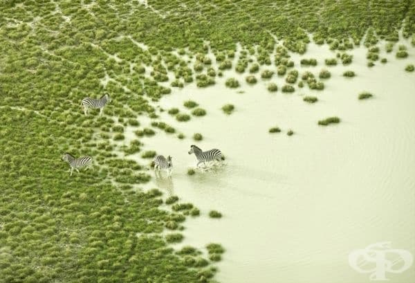 Фотограф: Zack Seckler.