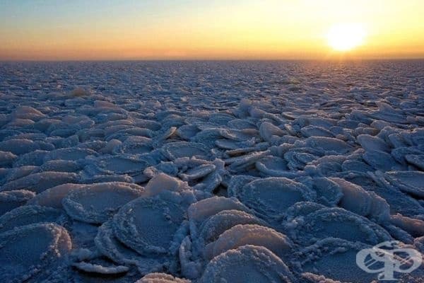 Ледени палачинки.